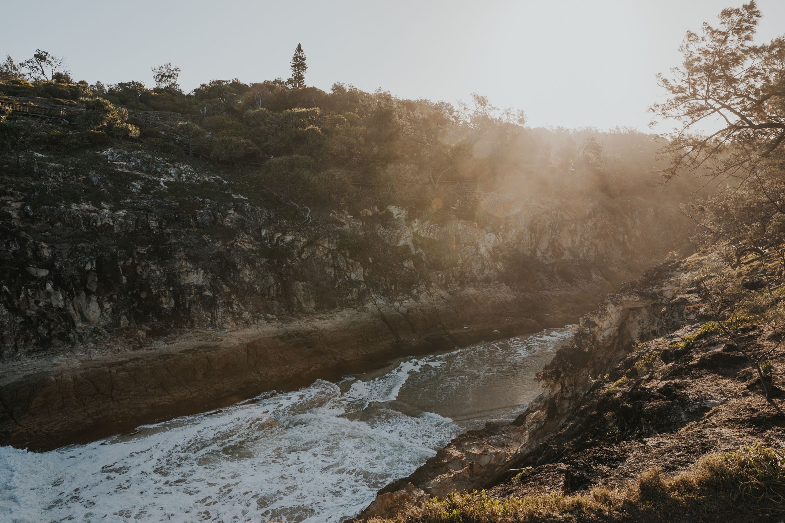  A coastal landscape bathed in warm, golden sunlight. The image features a rugged cliffside covered in green vegetation, sloping down towards the ocean where waves crash against the rocky shoreline. 