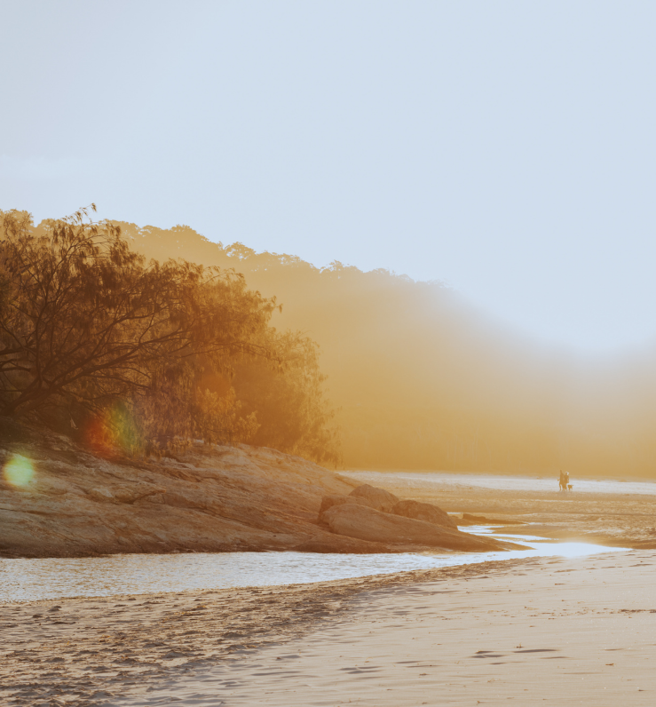 A misty beach scene at sunrise with soft golden light, shallow water winding across wet sand, trees lining the shore, and two small figures walking in the distance.